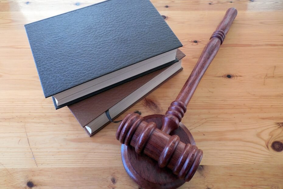 hammer, books, law, dish, lawyer, paragraphs, regulation, court of justice, a book, §, code, law books, judge, order, rule, disposal, auction, law, law, law, law, law, lawyer, lawyer, lawyer